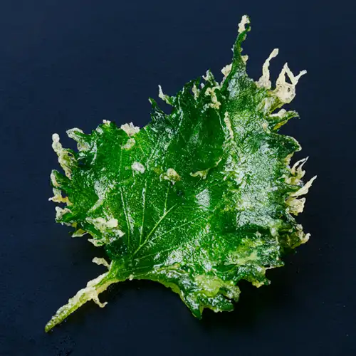 茄子/紫苏叶/秋葵/洋葱/嫩玉米/莲藕/腌姜/土豆沙拉（各种口味）