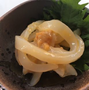 squid and sea urchin