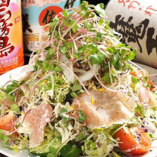 10 kinds of healthy salad [Japanese style dressing / Caesar dressing]
