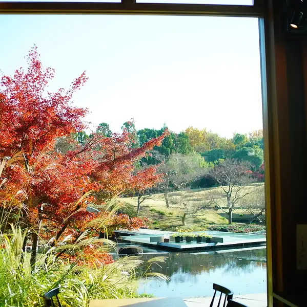 店内からは「朱雀の庭」のガーデンビューを楽しめます。季節ごとに咲き誇る花や青紅葉など自然にふれられる庭園を借景に優雅にくつろげます。お花見、お月見、紅葉狩り、雪見酒など花鳥風月を室内より愛でてください。京都の庭師の技巧の詰まった広大な庭園と食事の両方に満足いただけるシームレスなレストランです。
