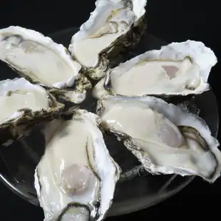 生牡蠣　M/1コ