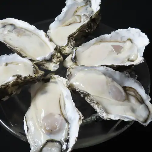 生牡蠣　M/1コ
