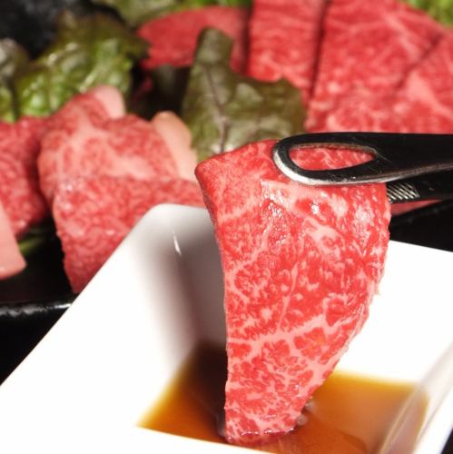 Japanese beef lean
