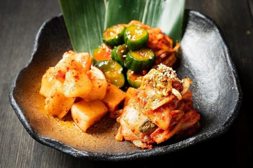 Chinese cabbage kimchi / kakuteki (radish kimchi) / bean sprout namul / spinach namul / fern namul