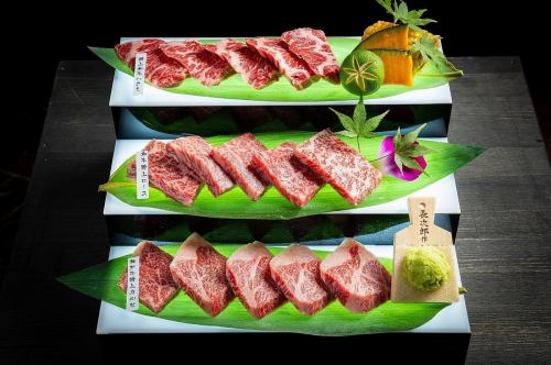 Special Wagyu Beef Platter [Uses Kobe Beef] (Salt, Wasabi)
