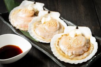 Scallops with shells