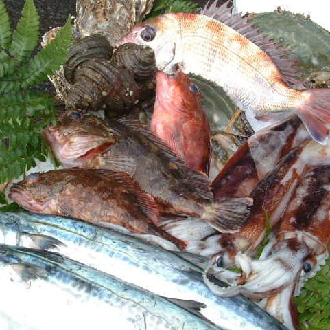 도쿠시마에서 아침에 잡아 올린 제철 생선을 매일 닿는 "나츠"!