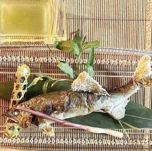 [Shimanto River's Blessings] Grilled Sweetfish