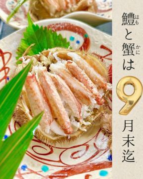 【期間限定9/30迄！】残暑をこえて、今だけの贅沢、鱧ハモ、蟹の競演！