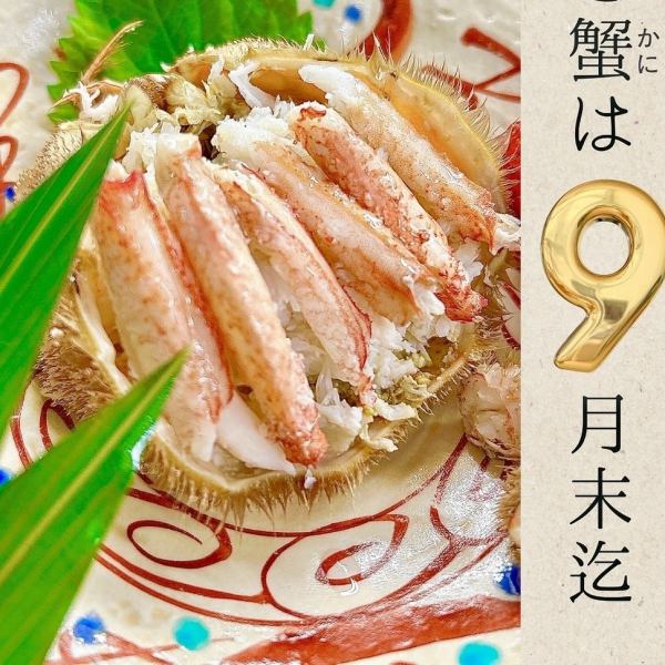 【季节限定】散发季节香气的豪华大闸蟹套餐