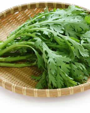 大人になって気づく春菊の美味しさ。亀戸で味わう「ふぐちり鍋」の魅力✨