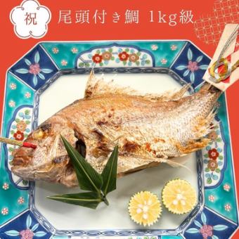 【土日限定】1kg級鯛とふぐ料理の贅。女将が進行を支える「オールインクルーシブ」お食い初め