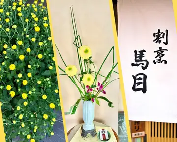 亀戸で七五三のお祝いを。秋の菊と、ご家族の晴れの日