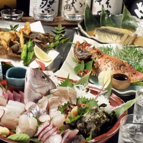 Deliver fresh seafood from Hiratsuka Fishing Port!
