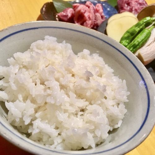 Kinuhikari rice from local Hiratsuka!