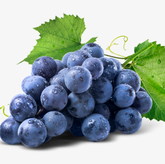 【FURIT】グレープ