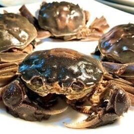 上海蟹紹興酒漬け メス