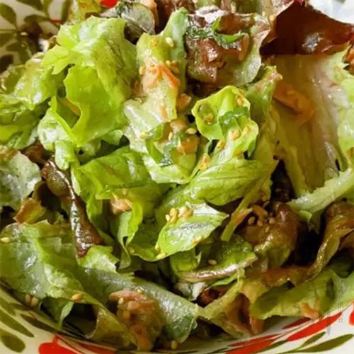 Fragrant green shiso Japanese salad