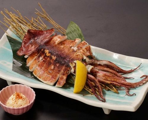 いか開き炙り焼き