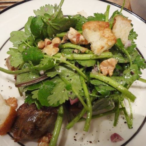 Gizzard confit watercress and coriander salad