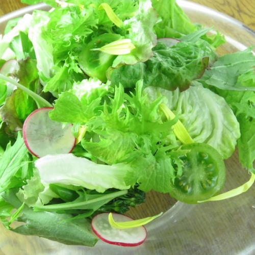 정원 salad