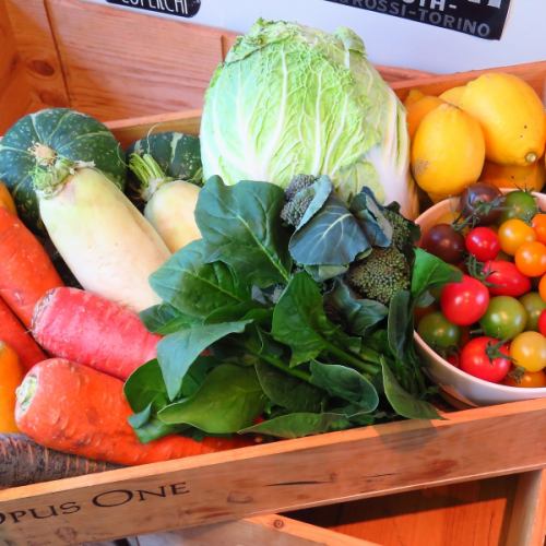Organic vegetables ♪ fond of delicious produce