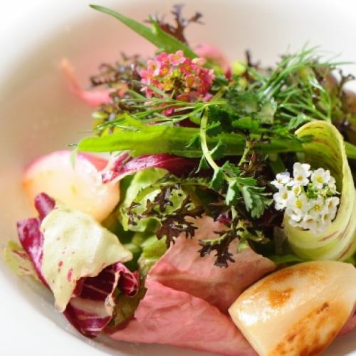 계절 점심 코스 (2 명부터)