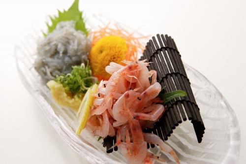 Assortment of raw shirasu and raw sakura shrimp
