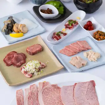 【含2小时畅饮】高级套餐，包含优质肉类及海鲜……共11道菜，9500日元