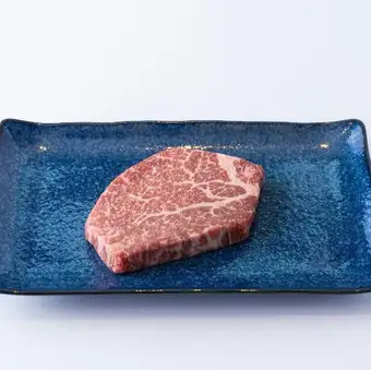 지느러미