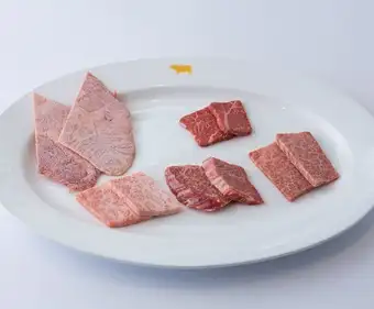 조금 특선 5종