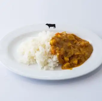 어린이 카레