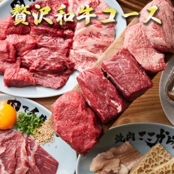2.5 hours of all-you-can-drink ◆ Enjoy carefully selected Wagyu beef and other specialties! A luxurious 16-dish "Luxurious Wagyu Beef Course"