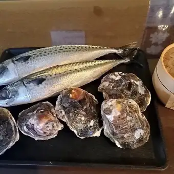 本日の魚