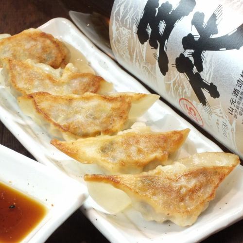 Gyoza dumplings (5 pieces)