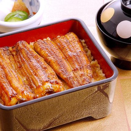 Grilled eel on rice