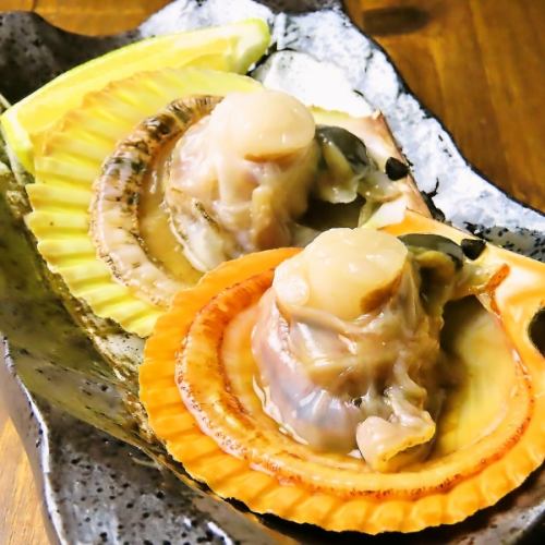ヒオウギ貝1枚