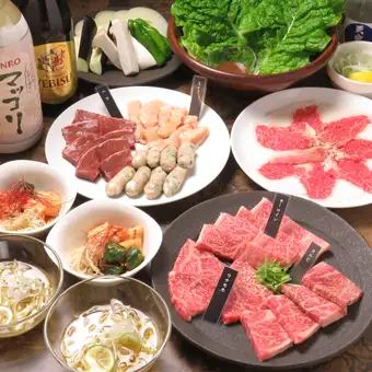 【含畅饮】池口烤肉标准套餐【共15道菜】5000日元（含税）