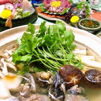 [Recommended by the master!Cooking only] Soft-shelled turtle & puffer fish course 8 dishes 12,000 yen