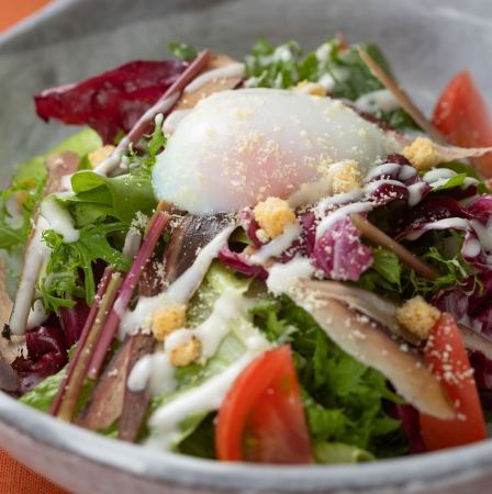 鰹生節と土佐のフルーツトマトのシーザーサラダ