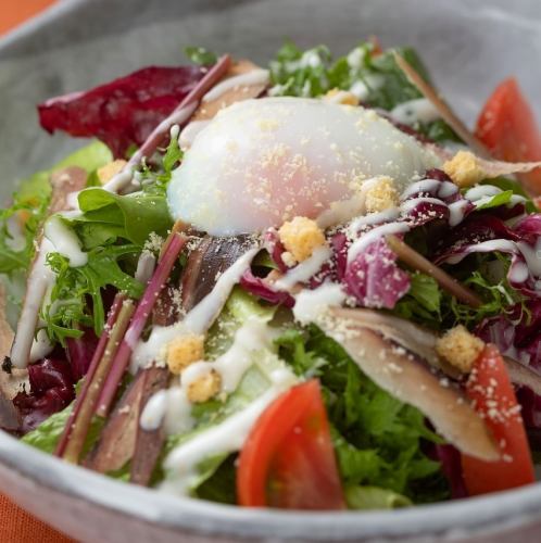 鰹生節と土佐のフルーツトマトのシーザーサラダ