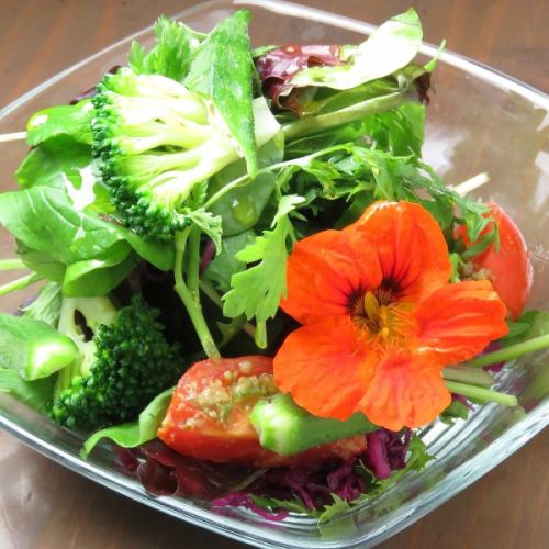 Fukuyama sodachi baby leaf salad
