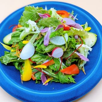 Garden salad with 20 kinds of vegetables