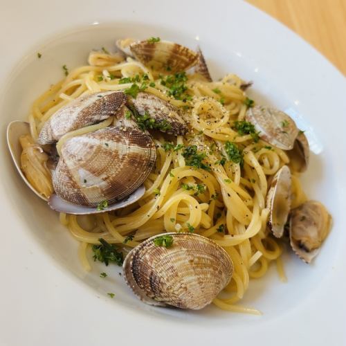 조개 봉고 레비앙코