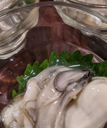 3.굴(가열용)들이+부리샤브 냄비 코스≪5,500엔(부가세 포함)≫(계절 한정)