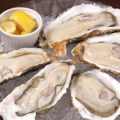 今日生蠔