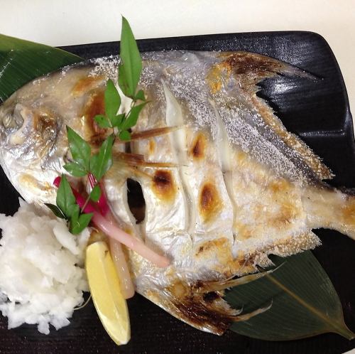 高級魚マナガツオの塩焼き(冬)