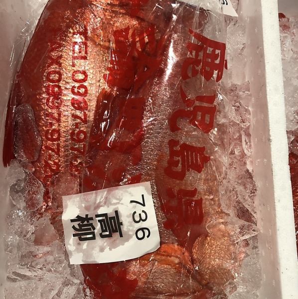 その日仕入れる鮮魚を様々な料理で堪能…