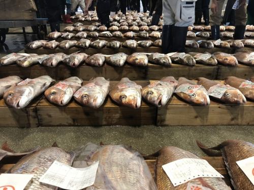 朝市場で厳選された魚