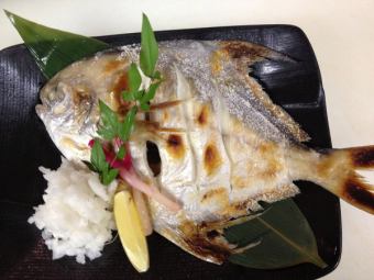 Grilled high-class fish Managatsuo with salt (winter)